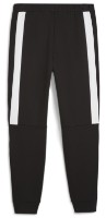 Pantaloni spotivi pentru bărbați Puma Bmw Mms Sweat Pants Reg/Cc Puma Black, s.M imaginea #2 — magazin online Desire.md