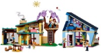 Set de construcție Lego Friends: Olly and Paisley's Family Houses (42620) imaginea #2 — magazin online Desire.md