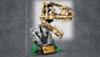 Set de construcție Lego Jurassic World: Dinosaur Fossils T. rex Skull (76964) imaginea #3 — magazin online Desire.md