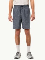 Pantaloni scurți pentru bărbați Jack Wolfskin Karana Shorts M Gray, s.XXL imaginea #2 — magazin online Desire.md