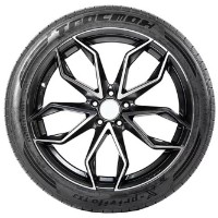 Anvelopa Tracmax X-privilo TX3 245/55 R19 107W XL imaginea #3 — magazin online Desire.md