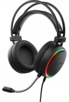 Căşti Genesis Neon 613 Black (NSG-2092) imaginea #1 — magazin online Desire.md