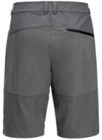 Pantaloni scurți pentru bărbați Jack Wolfskin Hiking Alpine Short M Gray, s.46 imaginea #2 — magazin online Desire.md
