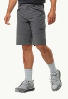 Pantaloni scurți pentru bărbați Jack Wolfskin Hiking Alpine Short M Gray, s.46 imaginea #3 — magazin online Desire.md