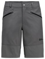 Pantaloni scurți pentru bărbați Jack Wolfskin Hiking Alpine Short M Gray, s.50 imaginea #1 — magazin online Desire.md