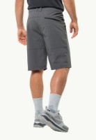 Pantaloni scurți pentru bărbați Jack Wolfskin Hiking Alpine Short M Gray, s.54 imaginea #4 — magazin online Desire.md