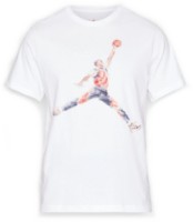 Мужская футболка Nike M Jordan Brand Jm Wtrclr Ss Crew White, s.XL