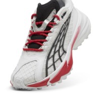 Кроссовки женские Puma Spirex Motoball Puma White/Silver Mist, s.40 фото №5 — интернет-магазин Desire.md