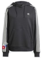 Женская толстовка Adidas Floral Hoodie Black, s.L фото №1 — интернет-магазин Desire.md