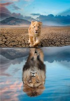 Puzzle Clementoni Super Self Reflection (21719)