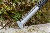 Кусторез аккумуляторный Bosch GHE 18V-60 (B06008C9000) фото №3 — интернет-магазин Desire.md