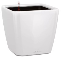 Цветочный горшок Lechuza Quadro Premium 43 LS White фото №1 — интернет-магазин Desire.md