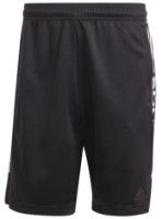 Pantaloni scurți pentru bărbați Adidas Tiro Wordmark Black, s.L (IM2905)
