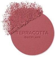 Blush pentru față Guerlain Terracotta Blush 03 Nude Foncé imaginea #2 — magazin online Desire.md