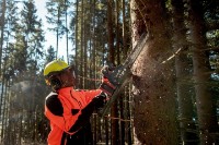 Цепная пила аккумуляторная Metabo MS 36-18LTX BL40 (601613850) фото №6 — интернет-магазин Desire.md