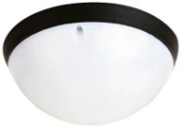 Потолочный светильник Rightlight LBLRBL0318GS