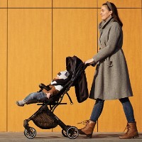 Коляска Momi Estelle Gray/Gold (WOSP00018) фото №7 — интернет-магазин Desire.md