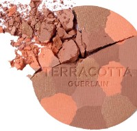 Pudra pentru față Guerlain Terracotta Light 05 Deep Warm imaginea #3 — magazin online Desire.md
