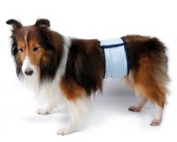 Bandă belly trixie Record Maschile 59x19cm imaginea #2 — magazin online Desire.md