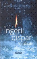 Книга Ingerii dispar in ploaie (9789975543330)