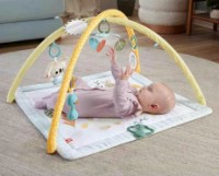 Игровой коврик Fisher Price HRB15 фото №6 — интернет-магазин Desire.md