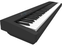 Цифровое пианино Roland FP-30X Black