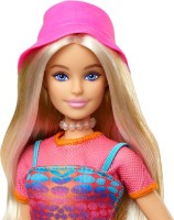 Кукла Barbie Pink Passport (HWH97) фото №4 — интернет-магазин Desire.md