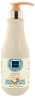 Шампунь для волос Famirel Argan Oi Renovation & Protection 500 mll(085861)