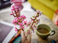 Set de construcție Lego Icons: Cherry Blossoms (40725) imaginea #3 — magazin online Desire.md