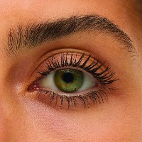 Rimel pentru gene Max Factor Mascara Masterpiece 2in1 Lash Wow Midnight Black imaginea #3 — magazin online Desire.md