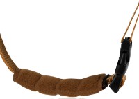 Детский шлем Lionelo Helmet Pink Rose фото №3 — интернет-магазин Desire.md