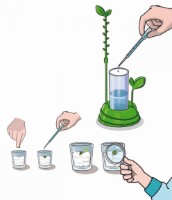 Детский набор для исcледований Clementoni Grădina mea (1026-50906) фото №3 — интернет-магазин Desire.md