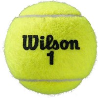 Мячи для тенниса Wilson All Court 3pcs фото №1 — интернет-магазин Desire.md