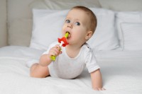 Periuta de dinti pentru copii Roxy Kids 2pcs (RTB-001) imaginea #2 — magazin online Desire.md