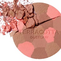 Пудра для лица Guerlain Terracotta 04 Deep Cool фото №2 — интернет-магазин Desire.md