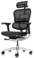 Scaun de birou Comfort T-168-B1 Ergohuman Elite 2 Black imaginea #2 — magazin online Desire.md