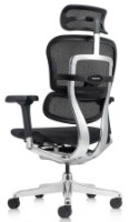 Scaun de birou Comfort T-168-B1 Ergohuman Elite 2 Black imaginea #4 — magazin online Desire.md