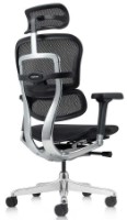 Scaun de birou Comfort T-168-B1 Ergohuman Elite 2 Black imaginea #5 — magazin online Desire.md
