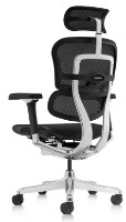 Scaun de birou Comfort T-168-B1 Ergohuman Luxury 2 Black imaginea #5 — magazin online Desire.md