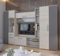 Гостиная Yasen Рояль Гикори Рокфорд Светлый/Графит Серый фото №4 — интернет-магазин Desire.md