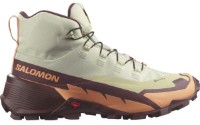 Ботинки женские Salomon Shoes Cross Hike Mid Gtx 2 W Beige s.37.5