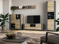 Тумба под ТВ Magnusplus TV Combo 1400x462x421 Gray Graphit/Oak Evoke Coast CO 4 фото №4 — интернет-магазин Desire.md