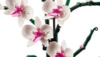 Конструктор Lego Botanical Collection: Orchid (10311) фото №3 — интернет-магазин Desire.md