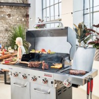 Gratar pe gaz Char-Broil Professional Pro 4S  imaginea #5 — magazin online Desire.md