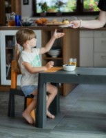 Măsuță pentru copii cu scaune Tega Baby Teggi Multifun (TI-011-172) Graphite/Mustard imaginea #6 — magazin online Desire.md