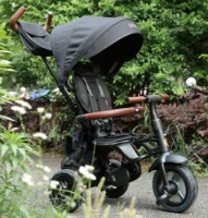 Детский велосипед Qplay Rito Deluxe Black фото №13 — интернет-магазин Desire.md