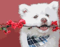 Tablou pe numere Strateg Белый джентльмен (GS948)