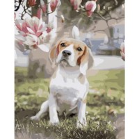 Tablou pe numere Strateg Бигль под магнолией (GS944)