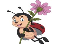 Tablou pe numere Strateg Божья коровка (ES106)