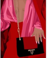 Tablou pe numere Strateg Высокая мода (DY376)